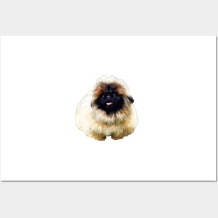 Pekingese Adorable Puppy Dog Posters and Art